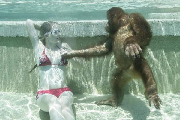 El orangután que bucea