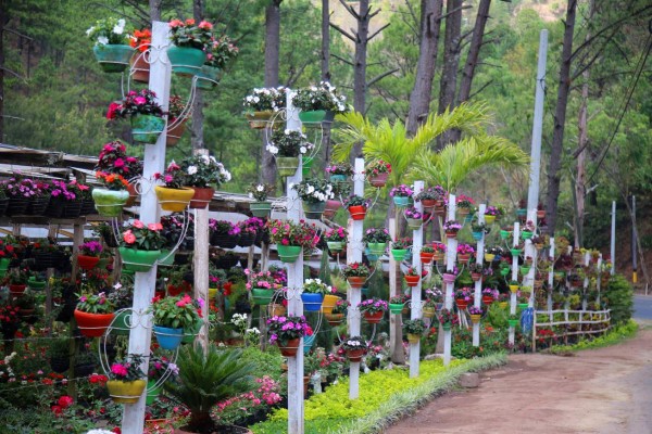 Valles y montañas: Aventura, paisajismo e historia