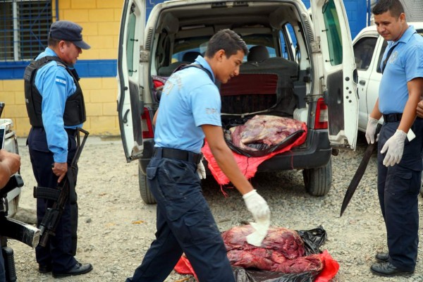 Caen abigeos que llevaban un potrillo peruano destazado