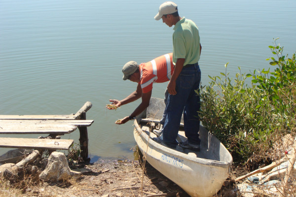 FDA incluye en lista roja a camaronera hondureña