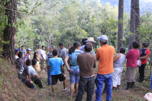 Matan a líder de grupo campesino en aldea de Villanueva, Cortés