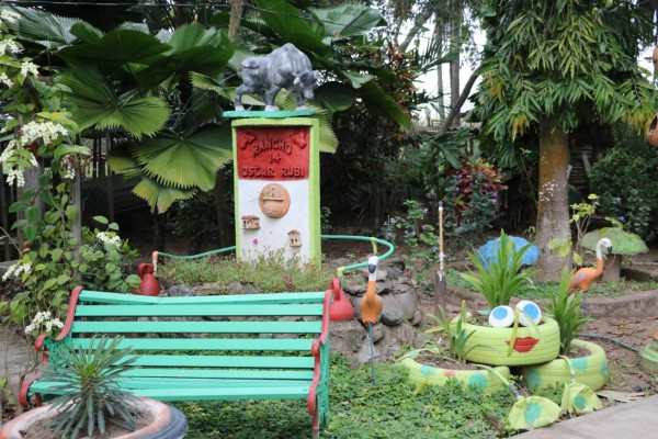 Naranjo Chino, un encanto natural en El Progreso