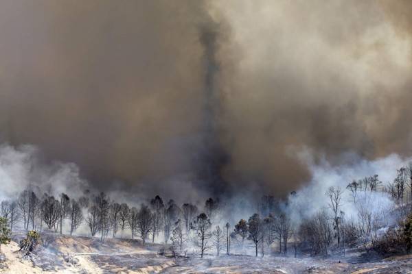 Bomberos luchan contra las llamas en San Bernardino