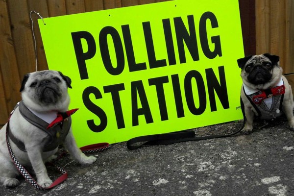 Los perros, protagonistas en elecciones en Reino Unido