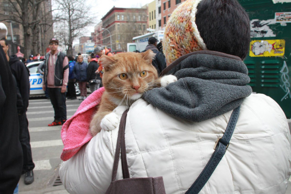 Siete muertos y 74 heridos en derrumbe de un edificio en Nueva York