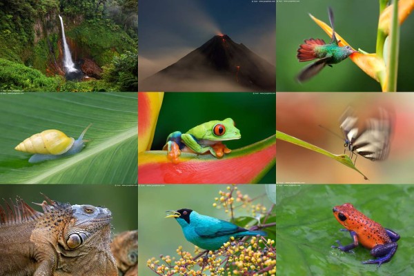 Costa Rica pone su biodiversidad al alcance de un clic