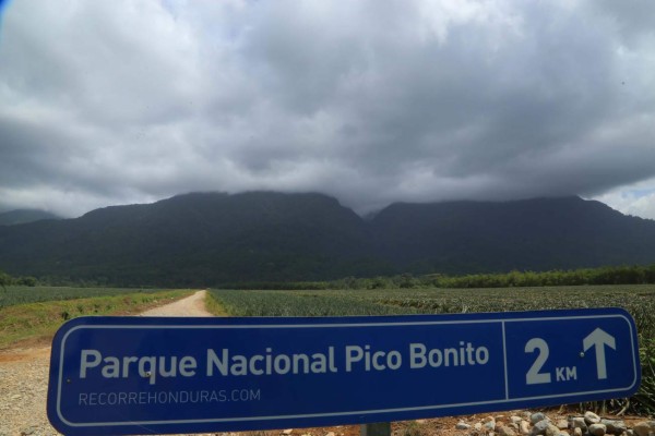 Pico Bonito, aguas cristalinas y una exuberante vida silvestre