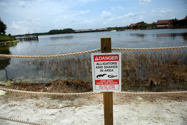 Cierran paso a lago en Disney donde murió niño arrastrado por caimán