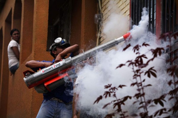 Se investigan posibles brotes de Chikungunya en Tegucigalpa