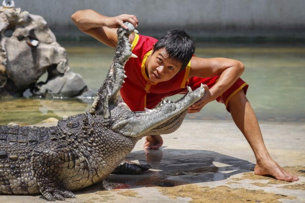 Cocodrilo devora a un pastor durante un bautizo en Etiopía