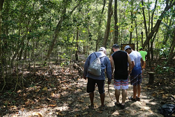 Los turistas realizan caminatas por senderos en donde se ven monos aulladores y otras especies de la zona.
