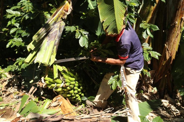 Revisión a la exoneración del 15% será semestral