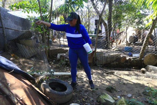 Niña, primera víctima de dengue en San Pedro Sula este año