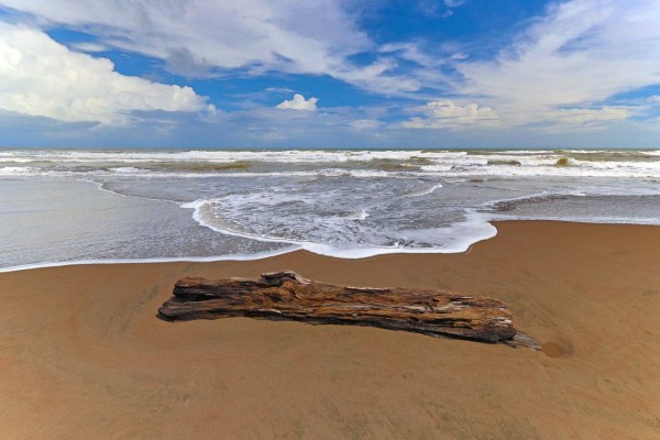 SJ700. SAN JOSÉ (COSTA RICA) 13/8/2017.- Fotografía sin fecha cedida por GOPlaya.cr que muestra una vista de la playa Tortuguero en la provincia de Limón (Costa Rica). El nuevo sitio web GOPlaya.cr permite explorar más de 200 playas de Costa Rica, desde las más remotas y vírgenes hasta las más turísticas, según el gusto de cada amante de la naturaleza. EFE/Armando Del Vecchio/GOPlaya.cr