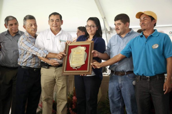 Más de 100,000 empleos nuevos dará la caficultura en la cosecha 2015-2016