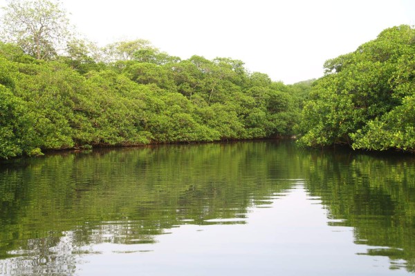 Trujillo, joya oculta del Caribe hondureño