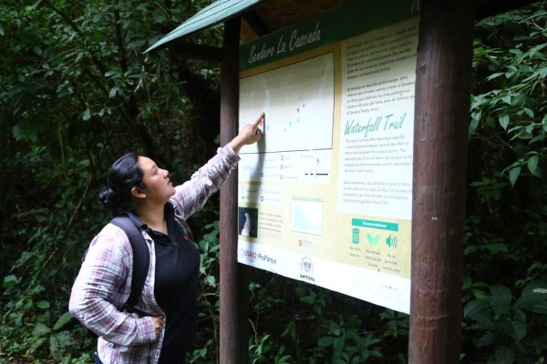Un bosque de vida silvestre para recorrer y disfrutar