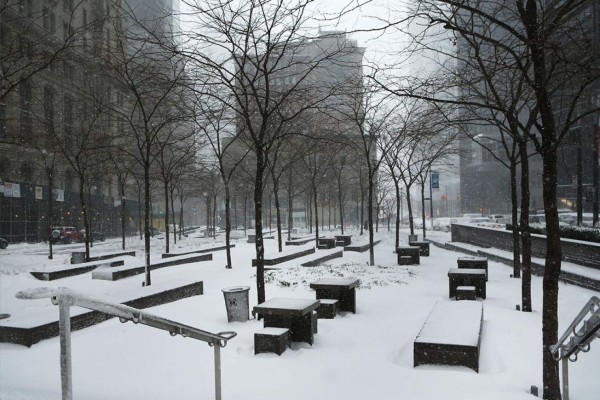 En fotos: La fuerte nevada que paraliza el noroeste de EUA