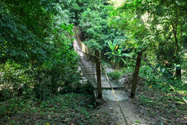 Pico bonito, el edén de La Ceiba