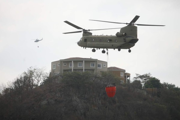 Ofrecen L250 mil de recompensa por responsables de incendio en El Picacho y El Hatillo 