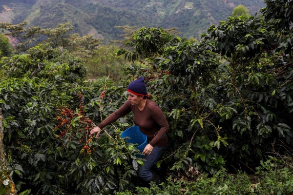 Venezolanos en Colombia cambian de oficio para sobrevivir