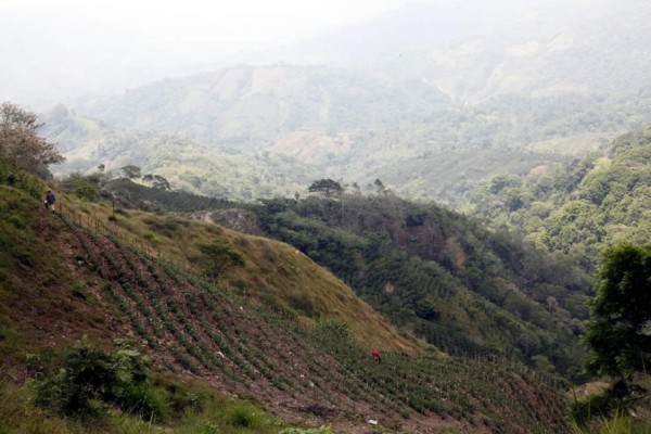 En El Merendón se celebrará el cabildo abierto de ambiente