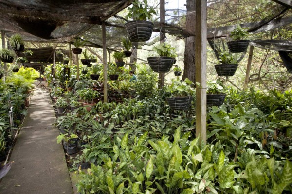 El pueblo de Santa Lucía, ideal para respirar aire puro