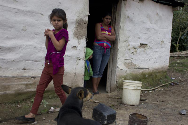 Los efectos roya del café en Honduras impactan en alimentación de familias pobres