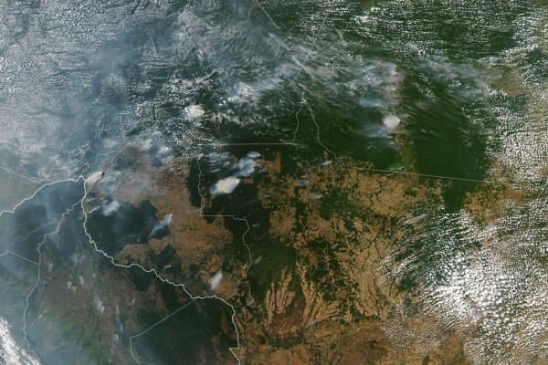 La deforestación, 'principal causa' de los fuegos amazónicos, dice científico brasileño