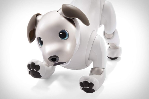 El perro robot de Sony