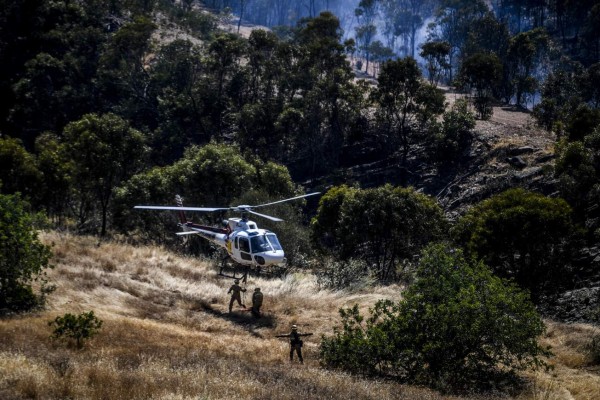 ¡Dantesco! Entre cadáveres rescatan a mujer migrante