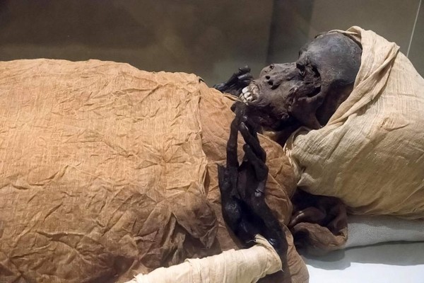 Revelan las causas de muerte de faraón que gobernó Egipto hace 3,600 años