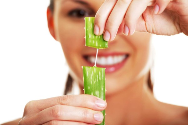 El poder nutritivo del aloe vera