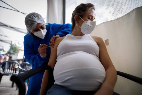 OPS recomienda vacunar a embarazadas después de tres meses de gestación