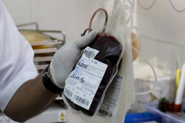 Fotografías del 24 de noviembre de 2016, de bolsas de sangre donada, en el laboratorio del banco de sangre de Asunción, Paraguay. EFE