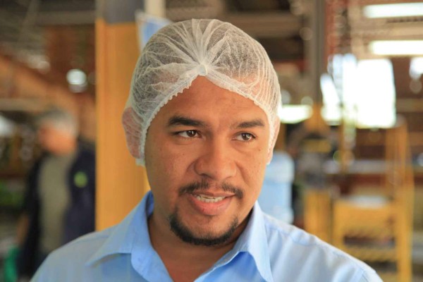 Mal de Panamá amenaza a las fincas bananeras de Honduras