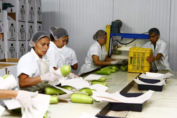 Industriales tienen una guía de derechos