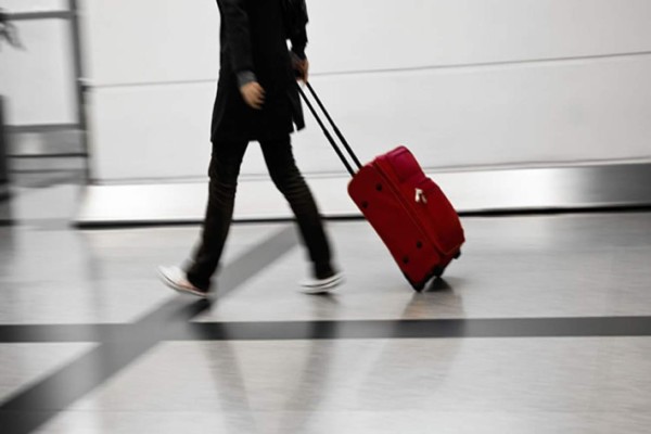 Turista intentó llevarse 170 reptiles en su maleta