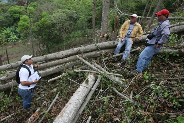 Las invasiones son el mayor riesgo en la seguridad hídrica, afirma experta