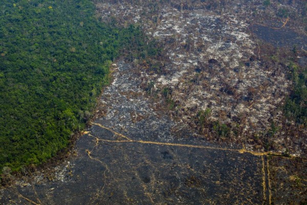 Brasil defiende en la ONU su gestión de los incendios en la Amazonía