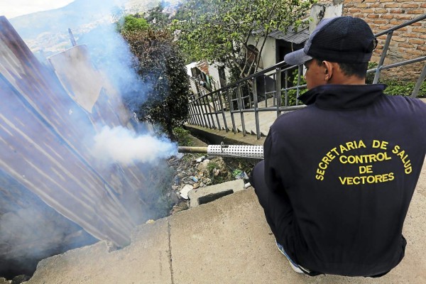 Investigan casos de chikungunya en Honduras