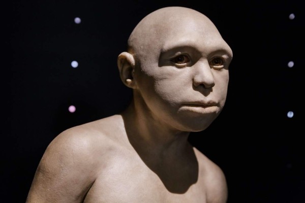 Este fue el primer poblador de Europa