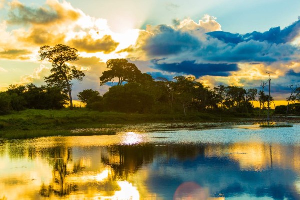 De viaje por el Amazonía, Pantanal y Cerrado en Brasil