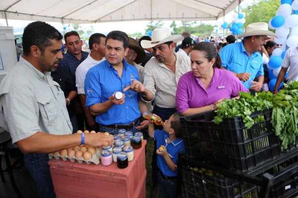 JOH demanda a Insep que reparen carretera de Lepaera en occidente