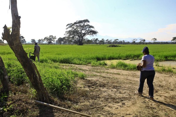 En Honduras el Fenómeno La Niña se extenderá en 2021