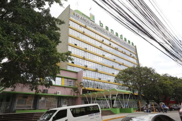Ejecutivo insistirá en cierre de Banadesa
