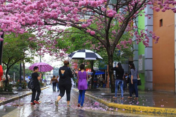 Alerta por aguaceros anunciados para este martes en norte de Honduras