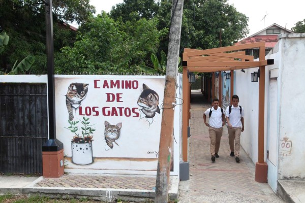 Honduras: La Lima, el corazón del valle de sula