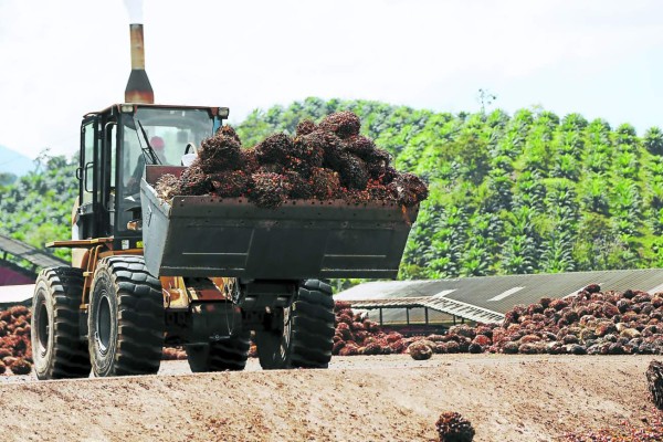 Gobierno y banca de Honduras acuerdan reactivar el agro