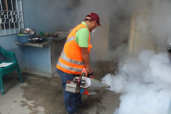 Van más de 18,000 casas fumigadas contra el zancudo